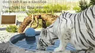 Keeping Wild and Exotic Animals in Captivity