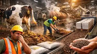 Inside a Giant Factory - Cow Dung to Organic Fertilizer Mass Production (Full Process)