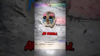 Китайская ледяная яма - челлендж у кого будет больше чек на ремонт?💲