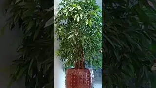 23 серпня 2024 р.