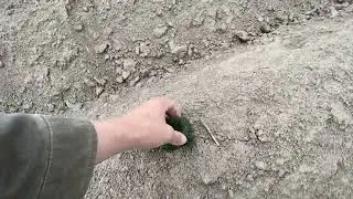 😱ВСЕ ЗАМЕРЗЛО‼️МОРОЗ ВСЕ ВБИВ😢