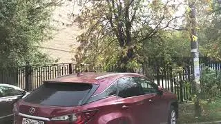 Нежинская 17с4 обзорное