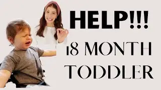 Toddler 18 Month Regression (HOW TO SURVIVE!)