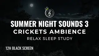 12 Hours of Calming Summer Night Sounds |3| Crickets Ambience for Sleep, Meditation & Relaxation