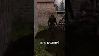 Как появляются Сталкеры? 