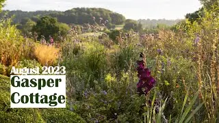 Warm late summer light making the cottage garden magical