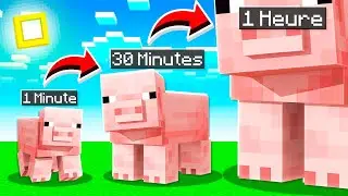 MINECRAFT MAIS À CHAQUE SECONDE LES MOBS GRANDISSENT !