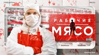 Мясопереработка в Америке: умри ради прибыли // Излучатель #2