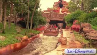 Top 5 Magic Kingdom Rides