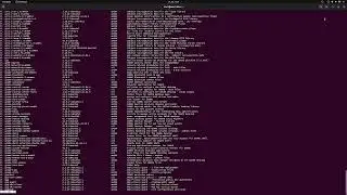How to uninstall any program application in Linux Ubuntu using terminal