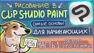 Рисование в Clip Studio Paint, основы. Часть 1-  обзор программы