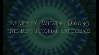 Learn Wuxing (Five Animals) Qigong – The Best Tutorial Experience