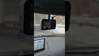 преследование