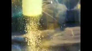 Изготовление технопланктона в домашних условиях