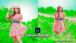 Vibrance Green Preset || Vibrancy Green Lightroom DNG Preset Free - 2023