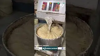 Surprising Video Reveals How Factory-Made Soybean Sticks Are Produced