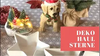 Deko Haul ★ Sterne, Lichter, Retriever ★ Kik Haul Deko