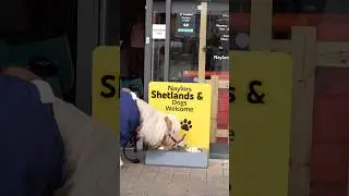 Mouse goes Shopping 