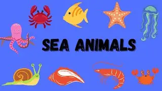 Sea animals || Sea creatures || Kids learning || Speech practice