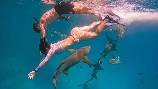 Swimming with the sharks 🦈 - My adrenaline was skyrocketing #sharks #shark #maldives #risky #omg