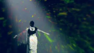 Rongmistree by band Shohojia (official)