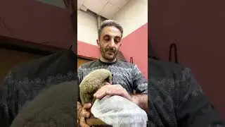 как из замши вывести развод и пятна. как почистить угги после зимы.