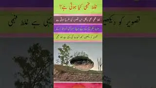 Aqwale Zareen #urduquotes | اقوال زریں | غلط فہمی کی تشریح|