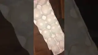 СУШИ РОЛЛЫ В ДЕРЕВНЕ