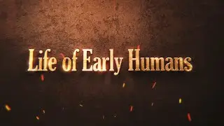 evolution of humans!(educational)