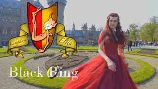 Elfia Haarzuilens 2019 Custume/Cosplay Video