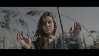 MANOID: Forests (Official Video)