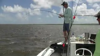 Dances With Tarpon, Georgia