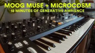 Generative Ambient Soundscapes with Moog Muse & Microcosm