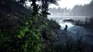 Broadleaf Tree Forest Biome - trying to make it even more realistic - UE5