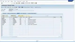 Sap Abap Character Strings Declaring C And N Fields