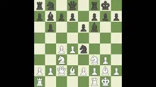 Mohr Georg (SLO) VS Savon Vladimir A (UKR)