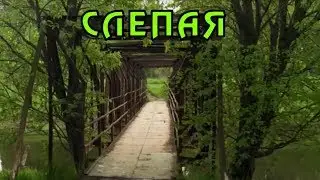 Слепая. Приметы из сериала от бабы Нины.
