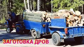 МОТОБЛОК МТЗ БЕЛАРУС, ЗАГОТОВКА ДРОВ