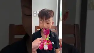Challenge 🤪😂 Thoc TV 