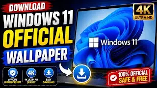 How to Download Windows 11 4K Wallpapers