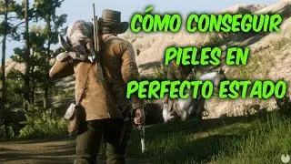 CÓMO CONSEGUIR PIELES EN PERFECTO ESTADO | RED DEAD REDEMPTION 2