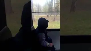 Санкт-Петербург. Петергоф. Александровский сад. Экскурсия в паровозике.
