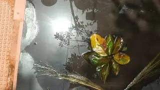 My experimental video
