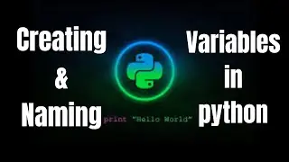 How to Create and Name Variables in Python | Beginner Python Programming Tutorial