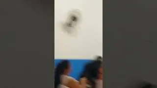 Miss Carina Martins fique com o projeto