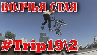 #19/2 Волчья стая (18+ без цензуры)