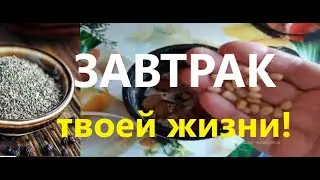 Кто рано просыпается-тот жизнью наслаждается!