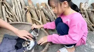 Usap Mata Untuk Anak  Kucing Yang Sakit Mata.. #animalsounds