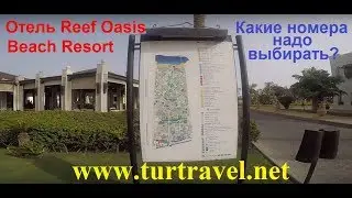 Обзор отеля Риф Оазис  Какие номера надо выбирать?