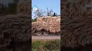 На москву!